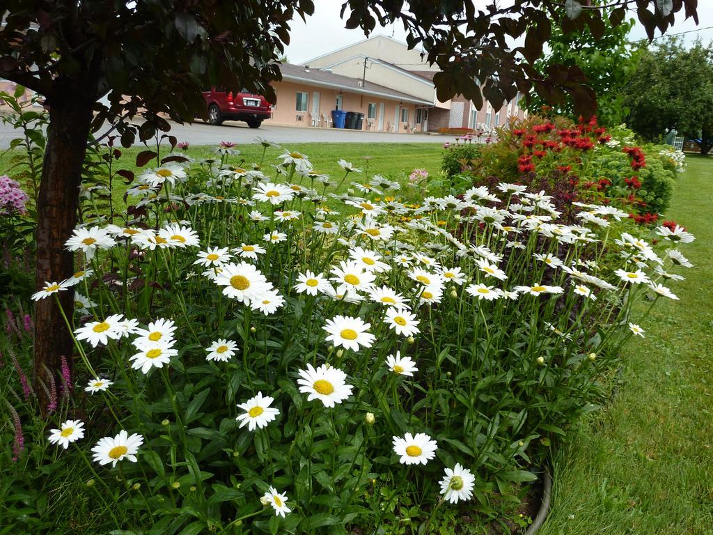 Motel Motel Becancour 2*